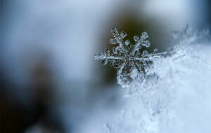 What To Do During Cold Winter Days? Earn Money Without Leaving Home!
