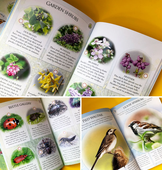 Children's Books Review: Nature Spotters Guides from Fine Feather Press