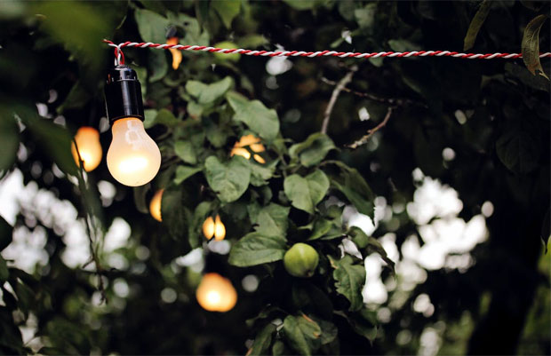 How To Transform Your Garden With Decorative Lighting