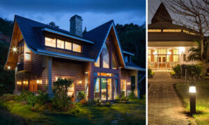How To Transform Your Garden With Decorative Lighting