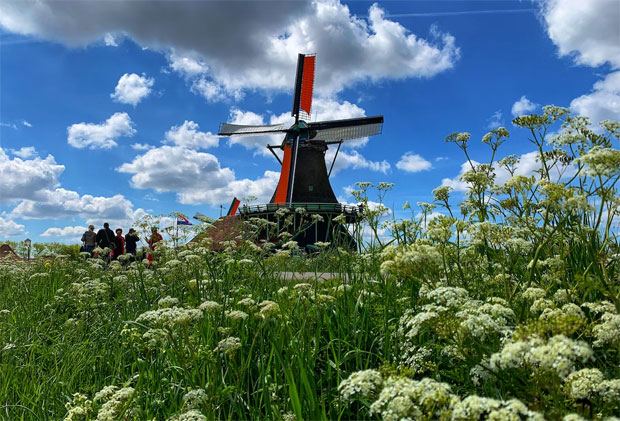 Keukenhof and Zaanse Schans Day Tour: Exploring Dutch Beauty