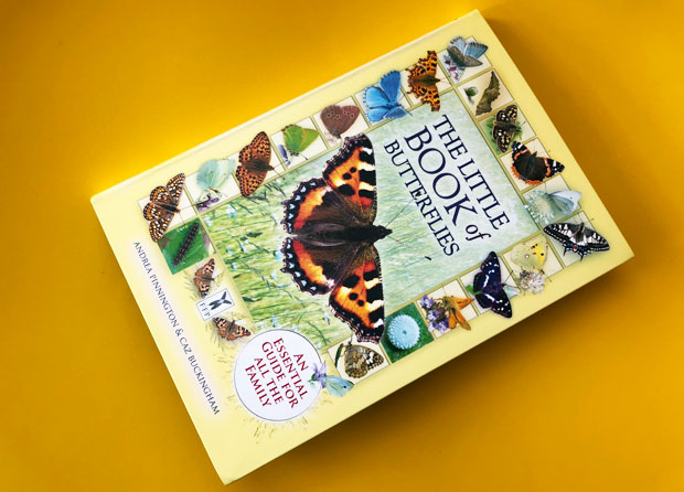 The Little Book of Butterflies A Mum Reviews