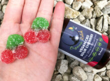 Vegan CBD Gummies from Organic Relief Review + Discount Code