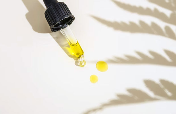 Comprehensive Guide to Full Spectrum CBD Oil Discover the Quality of Kannakan's Extracts
