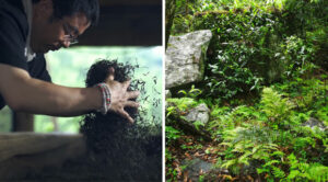 Discover the Art of Chinese Tea with iTeaworld