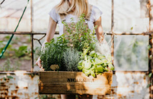 Spend More Time in Your Garden to Improve Mental Health A Mum Reviews
