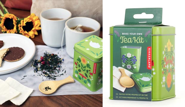 Kikkerland Make Your Own Tea Kit