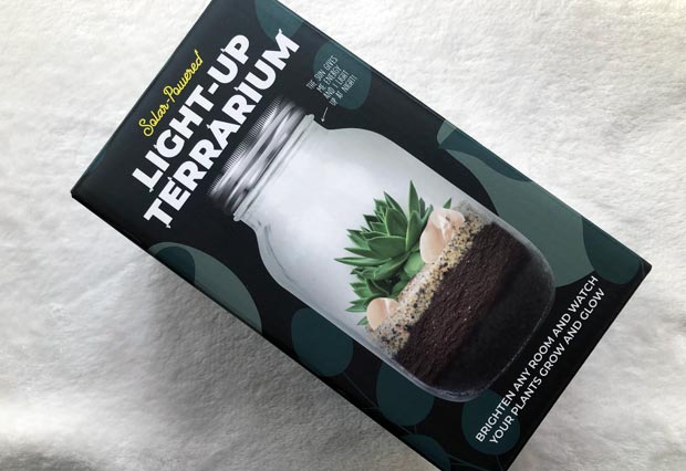 Light-up Terrarium