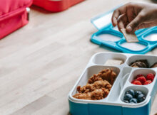 Easy Packed Lunch Ideas for Kids Who Don't Like Sandwiches