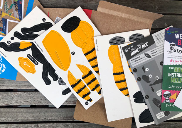 The Amazing Build Your Own Honey Bee Kit Review