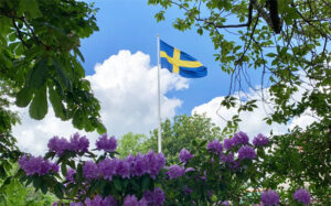 Swedish summer Swedish flag