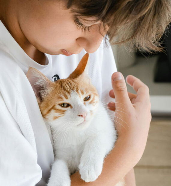 Top Reasons Why a Pet Is The Perfect Family Addition