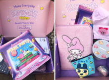 YumeTwins Monthly Kawaii Subscription Box 