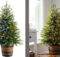 New Fantastic Potted Christmas Tree from We R Christmas