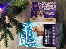 Treat Your Dog to a Festive Turkey Bundle from Burns Pet Nutrition This Christmas!