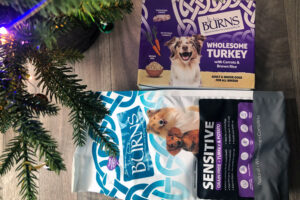 Treat Your Dog to a Festive Turkey Bundle from Burns Pet Nutrition This Christmas!