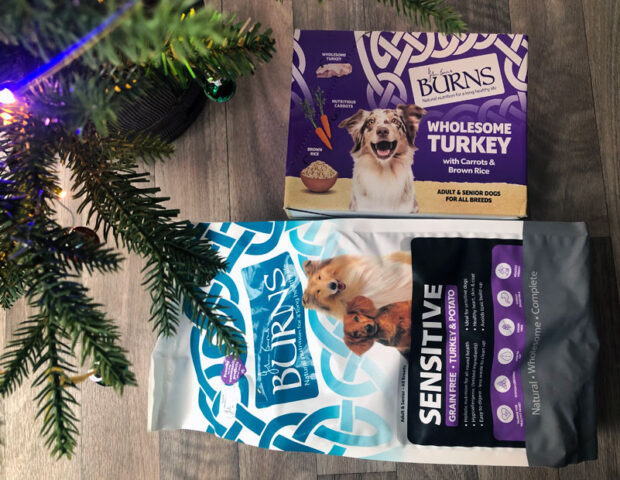 Treat Your Dog to a Festive Turkey Bundle from Burns Pet Nutrition This Christmas!