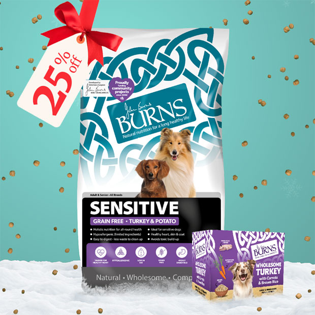 Treat Your Dog to a Festive Turkey Bundle from Burns Pet Nutrition This Christmas!