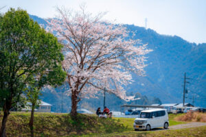 Family-Friendly Cherry Blossom Camping: Tips for a Stress-Free Spring Getaway