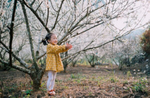 Family-Friendly Cherry Blossom Camping: Tips for a Stress-Free Spring Getaway