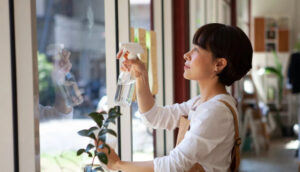 window cleaning