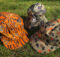 Little Hotdog Watson Summer Hats: Excellent Sun Protection with Stylish Designs